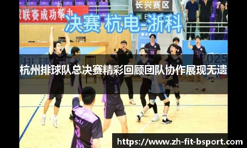杭州排球队总决赛精彩回顾团队协作展现无遗
